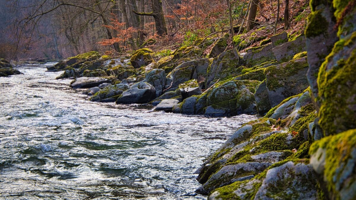 Entlang des Flusses Schwarza in Thüringen bieten sich tolle Aussichten über das ganze Bundesland