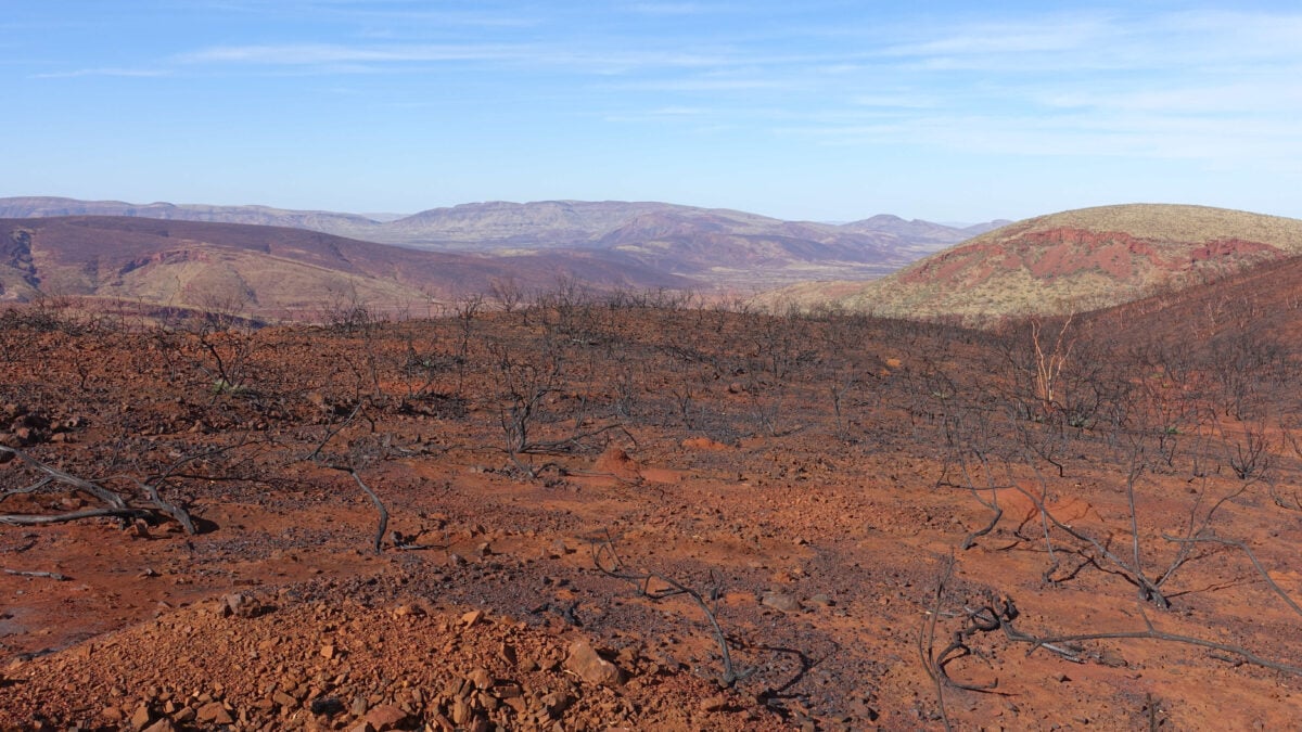 Eine karge Landschaft irgendwo in Westaustralien